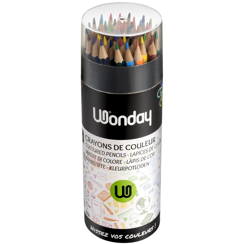 Pot de 48 crayons de couleur 18 cm Wonday
